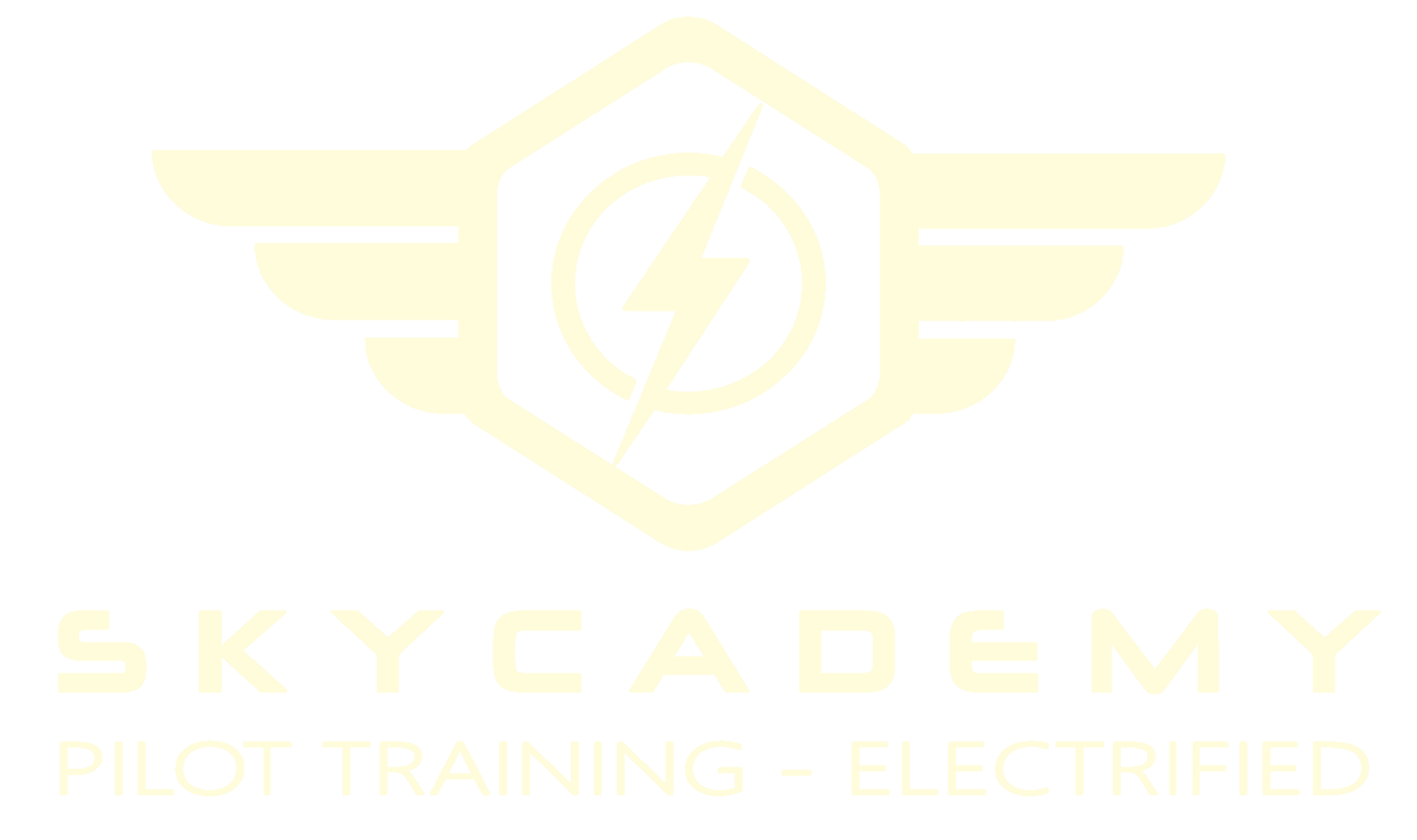 Pilot training logo