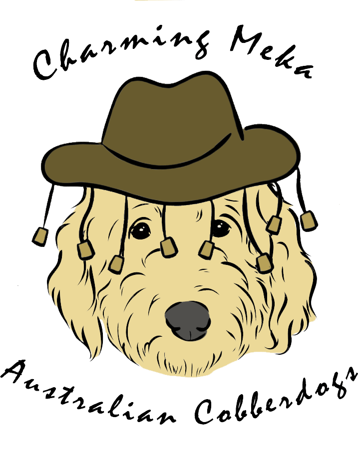 logo image