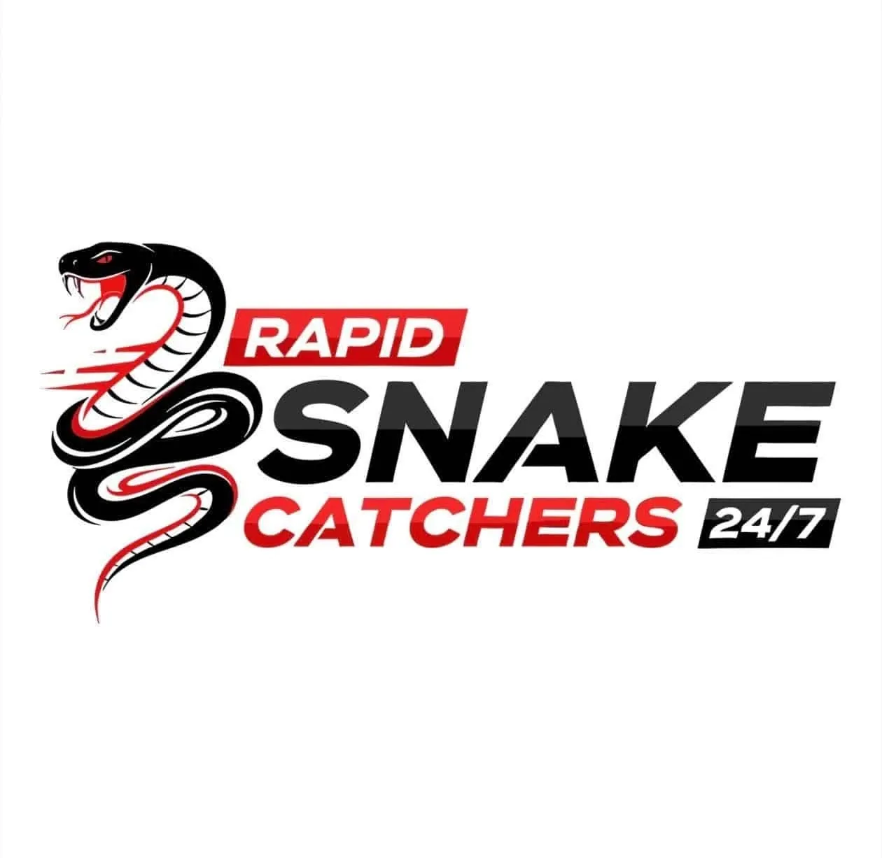 Rapid Snake Catchers logo featuring cobra icon – 24/7 snake removal service