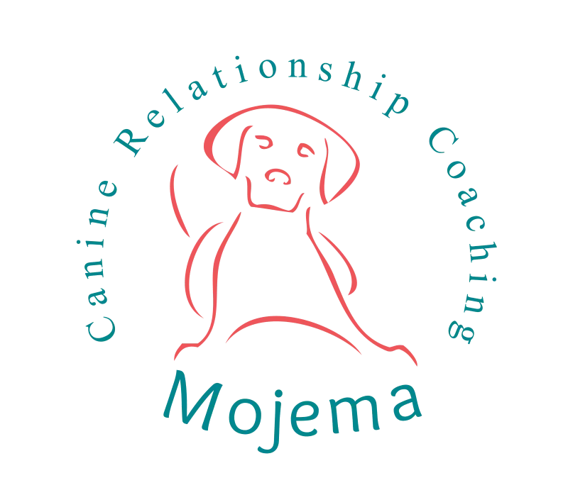 logo title logo image